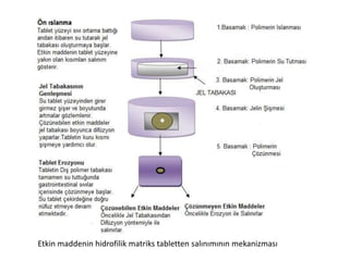 Etkin maddenin hidrofilik matriks tabletten salınımının mekanizması
 