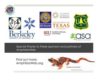 Special thanks to these sponsors and partners of
AmphibiaWeb
Find out more:
AmphibiaWeb.org
 