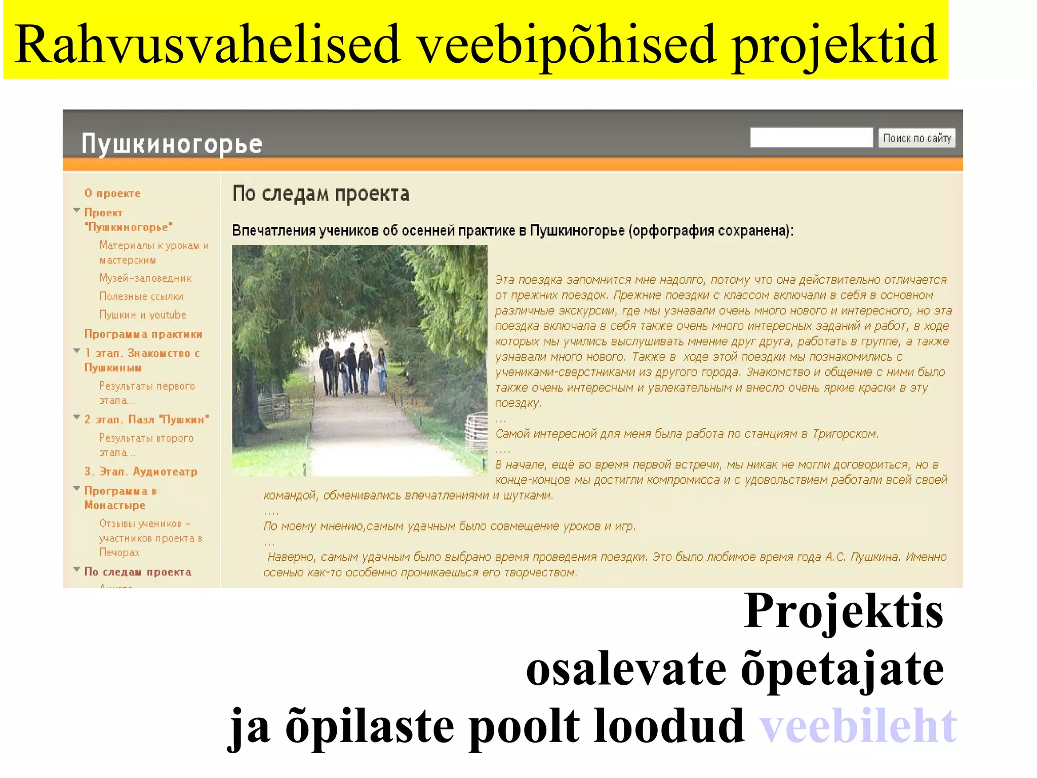 Projektis  osalevate õpetajate  ja  õpilaste poolt loodud  veebileht Rahvusvahelised veebipõhised projektid 