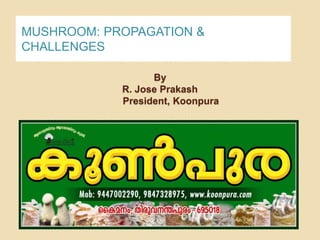 MUSHROOM: PROPAGATION &
CHALLENGES

                  By
            R. Jose Prakash
            President, Koonpura
 