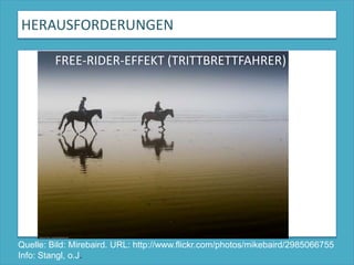 HERAUSFORDERUNGENFREE-RIDER-EFFEKT (TRITTBRETTFAHRER)Quelle: Bild: Mirebaird. URL: http://www.flickr.com/photos/mikebaird/2985066755Info: Stangl, o.J.