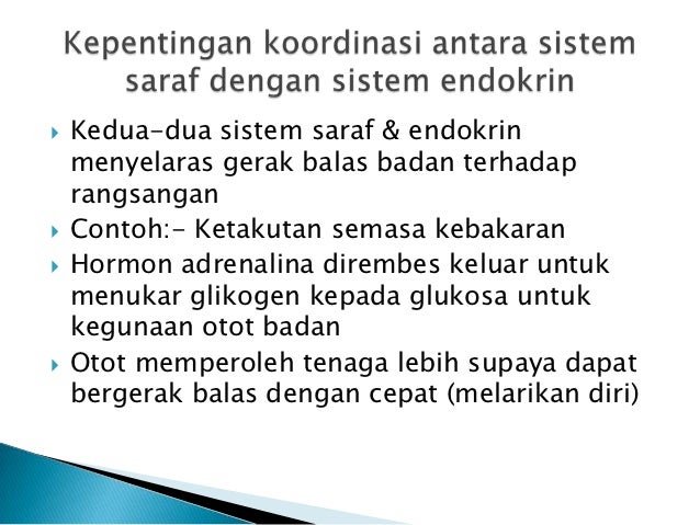 Koordinasi Antara Sistem Saraf Dengan Sistem Endokrin