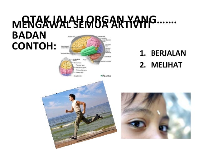 Koordinasi Badan
