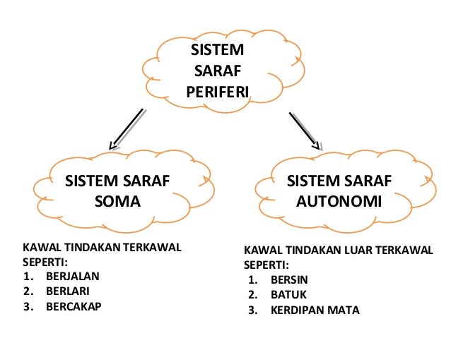 Koordinasi Badan