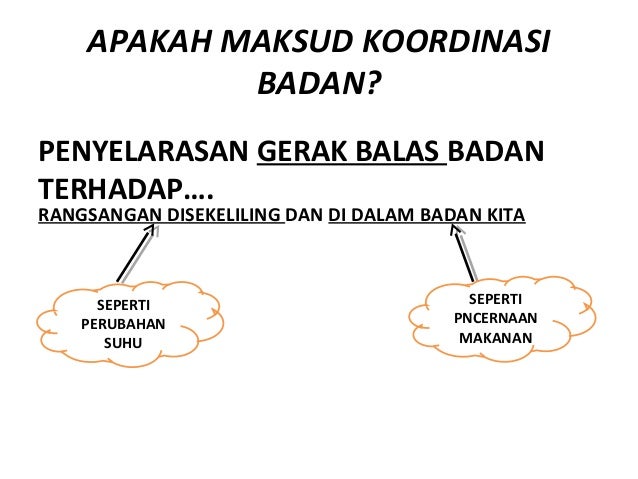 Koordinasi Badan