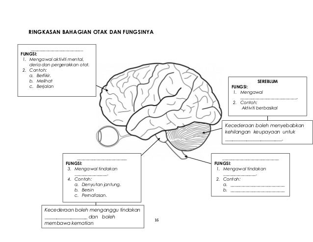 Bahagian Basikal Dan Fungsinya