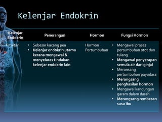 Kelenjar Endokrin
Kelenjar
                    Penerangan            Hormon          Fungsi Hormon
Endokrin
Pituitari   • Sebesar kacang pea        Hormon      • Mengawal proses
            • Kelenjar endokrin utama   Pertumbuhan   pertumbuhan otot dan
              kerana mengawal &                       tulang
              menyelaras tindakan                   • Mengawal penyerapan
              kelenjar endokrin lain                  semula air dari ginjal
                                                    • Meransang
                                                      pertumbuhan payudara
                                                    • Merangsang
                                                      penghasilan hormon
                                                    • Mengawal kandungan
                                                      garam dalam darah
                                                    • Merangsang rembesan
                                                      susu ibu
 
