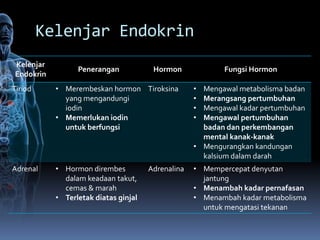 Kelenjar Endokrin
Kelenjar
                 Penerangan            Hormon             Fungsi Hormon
Endokrin
Tiriod     • Merembeskan hormon Tiroksina          • Mengawal metabolisma badan
             yang mengandungi                      • Merangsang pertumbuhan
             iodin                                 • Mengawal kadar pertumbuhan
           • Memerlukan iodin                      • Mengawal pertumbuhan
             untuk berfungsi                         badan dan perkembangan
                                                     mental kanak-kanak
                                                   • Mengurangkan kandungan
                                                     kalsium dalam darah
Adrenal    • Hormon dirembes          Adrenalina   • Mempercepat denyutan
             dalam keadaan takut,                    jantung
             cemas & marah                         • Menambah kadar pernafasan
           • Terletak diatas ginjal                • Menambah kadar metabolisma
                                                     untuk mengatasi tekanan
 