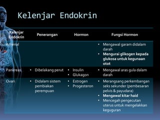 Kelenjar Endokrin
 Kelenjar
               Penerangan           Hormon              Fungsi Hormon
 Endokrin
Adrenal                                          • Mengawal garam didalam
                                                   darah
                                                 • Mengurai glikogen kepada
                                                   glukosa untuk kegunaan
                                                   otot
Pankreas    • Dibelakang perut   • Insulin       • Mengawal aras gula dalam
                                 • Glukagon        darah
Ovari       • Didalam sistem     • Estrogen      • Merangsang perkembangan
              pembiakan          • Progesteron     seks sekunder (pembesaran
              perempuan                            pelvis & payudara)
                                                 • Mengawal kitar haid
                                                 • Mencegah pengecutan
                                                   uterus untuk mengelakkan
                                                   keguguran
 