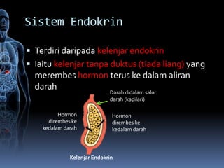 Sistem Endokrin

 Terdiri daripada kelenjar endokrin
 Iaitu kelenjar tanpa duktus (tiada liang) yang
  merembes hormon terus ke dalam aliran
  darah
                             Darah didalam salur
                             darah (kapilari)

          Hormon              Hormon
      dirembes ke             dirembes ke
    kedalam darah             kedalam darah




              Kelenjar Endokrin
 