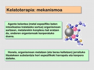 Kelatoterapia: mekanismoa
Kelatoterapia: mekanismoa


  Agente kelantea (metal espezifiko baten
   Agente kelantea (metal espezifiko baten
intoxikazioa tratatzeko sortua) organismoan
 intoxikazioa tratatzeko sortua) organismoan
sartzean, metalarekin konplexu bat eratzen
 sartzean, metalarekin konplexu bat eratzen
du, ondoren organismoak kanporatuko
 du, ondoren organismoak kanporatuko
duena.
 duena.




   Honela, organismoan metatzen (eta berau kaltetzen) jarraituko
    Honela, organismoan metatzen (eta berau kaltetzen) jarraituko
litzatekeen substantzia hori espezifikoki harrapatu eta kanpora
 litzatekeen substantzia hori espezifikoki harrapatu eta kanpora
daiteke.
 daiteke.
 