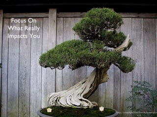 http://compfight.com/search/bonsai
plant/1-3-1-1
Focus On
What Really
Impacts You
 