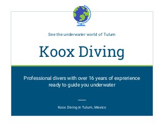 See the underwater world of Tulum
Koox Diving
Professional divers with over 16 years of exprerience
ready to guide you underwater
Koox Diving in Tulum, Mexico
 