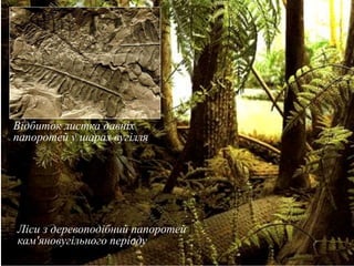 Ліси з деревоподібний папоротей
кам'яновугільного періоду
Відбиток листка давніх
папоротей у шарах вугілля
 