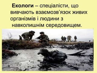 Екологи – спеціалісти, що
вивчають взаємозв’язок живих
організмів і людини з
навколишнім середовищем.
 
