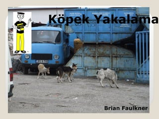 Köpek Yakalama
Brian Faulkner
 