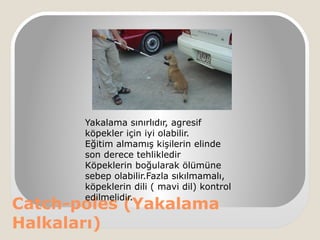 Catch-poles (Yakalama
Halkaları)
Yakalama sınırlıdır, agresif
köpekler için iyi olabilir.
Eğitim almamış kişilerin elinde
son derece tehlikledir
Köpeklerin boğularak ölümüne
sebep olabilir.Fazla sıkılmamalı,
köpeklerin dili ( mavi dil) kontrol
edilmelidir.
 
