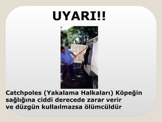 UYARI!!
Catchpoles (Yakalama Halkaları) Köpeğin
sağlığına ciddi derecede zarar verir
ve düzgün kullaılmazsa ölümcüldür
 