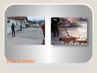 Drive Nets
 