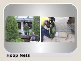 Hoop Nets
 