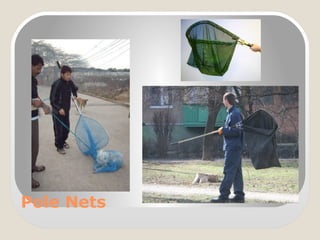 Pole Nets
 