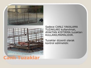 Canlı Tuzaklar
Sadece CANLI YAKALAMA
TUZAKLARI kullanılmalı,
AYAKTAN KISTIRMA tuzakları
KULLANILMAMALIDIR.
Tuzaklar düzenli olarak
kontrol edilmelidir.
 