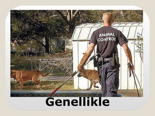 Genellikle
 
