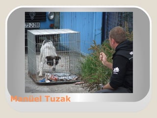 Manüel Tuzak
 