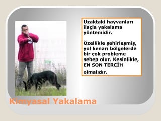 Kimyasal Yakalama
Uzaktaki hayvanları
ilaçla yakalama
yöntemidir.
Özellikle şehirleşmiş,
yol kenarı bölgelerde
bir çok probleme
sebep olur. Kesinlikle,
EN SON TERCİH
olmalıdır.
 
