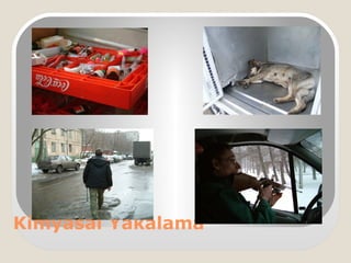 Kimyasal Yakalama
 