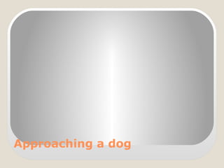 Approaching a dog
 
