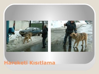 Hareketi Kısıtlama
 
