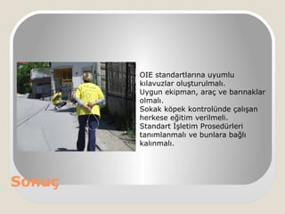 Sonuç
OIE standartlarına uyumlu
kılavuzlar oluşturulmalı.
Uygun ekipman, araç ve barınaklar
olmalı.
Sokak köpek kontrolünde çalışan
herkese eğitim verilmeli.
Standart İşletim Prosedürleri
tanımlanmalı ve bunlara bağlı
kalınmalı.
 