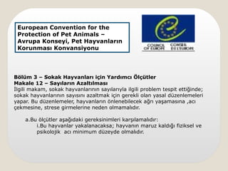 Bölüm 3 – Sokak Hayvanları için Yardımcı Ölçütler
Makale 12 – Sayıların Azaltılması
İlgili makam, sokak hayvanlarının sayılarıyla ilgili problem tespit ettiğinde;
sokak hayvanlarının sayısını azaltmak için gerekli olan yasal düzenlemeleri
yapar. Bu düzenlemeler, hayvanların önlenebilecek ağrı yaşamasına ,acı
çekmesine, strese girmelerine neden olmamalıdır.
a.Bu ölçütler aşağıdaki gereksinimleri karşılamalıdır:
i.Bu hayvanlar yakalanacaksa; hayvanın maruz kaldığı fiziksel ve
psikolojik acı minimum düzeyde olmalıdır.
European Convention for the
Protection of Pet Animals –
Avrupa Konseyi, Pet Hayvanların
Korunması Konvansiyonu
 