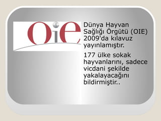Dünya Hayvan
Sağlığı Örgütü (OIE)
2009'da kılavuz
yayınlamıştır.
177 ülke sokak
hayvanlarını, sadece
vicdani şekilde
yakalayacağını
bildirmiştir..
 