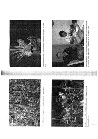 Kopenawa, davi;albert,bruce  the falling sky