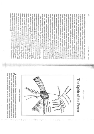 Kopenawa, davi;albert,bruce  the falling sky