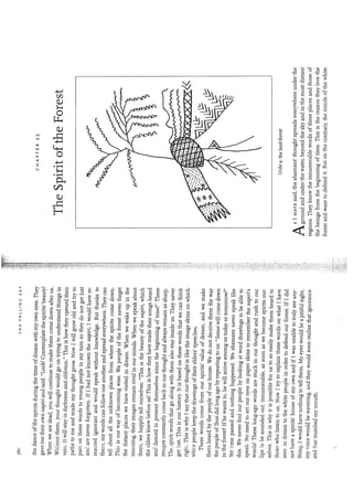 Kopenawa, davi;albert,bruce  the falling sky