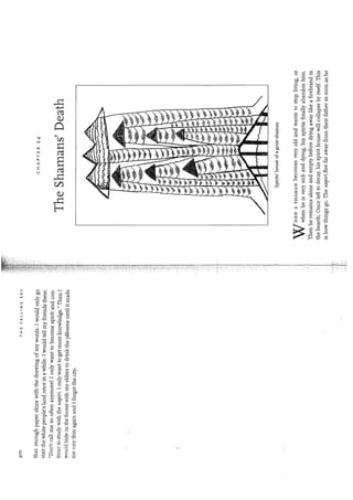 Kopenawa, davi;albert,bruce  the falling sky