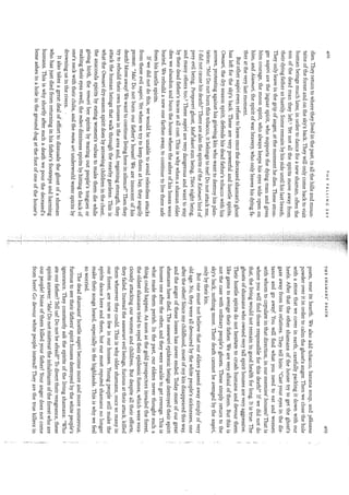 Kopenawa, davi;albert,bruce  the falling sky