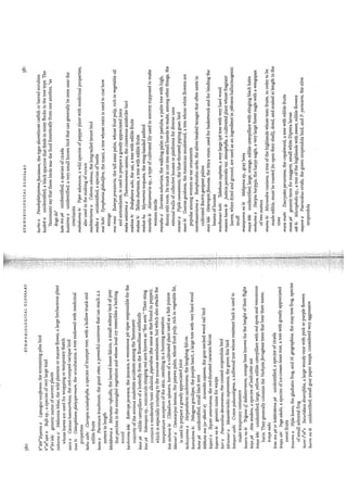 Kopenawa, davi;albert,bruce  the falling sky