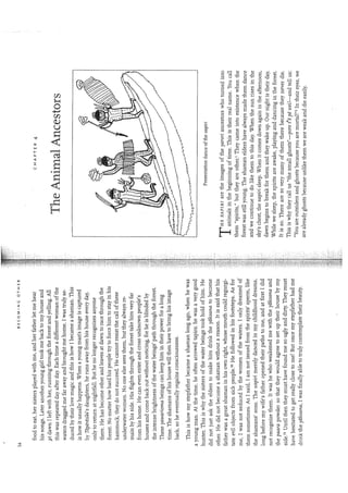 Kopenawa, davi;albert,bruce  the falling sky