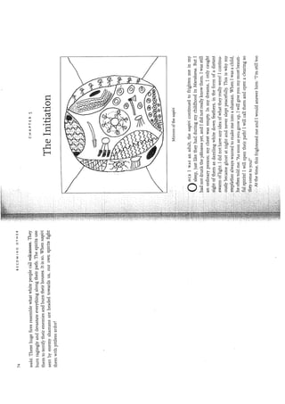 Kopenawa, davi;albert,bruce  the falling sky