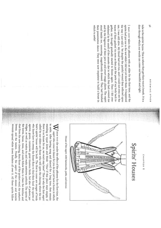 Kopenawa, davi;albert,bruce  the falling sky