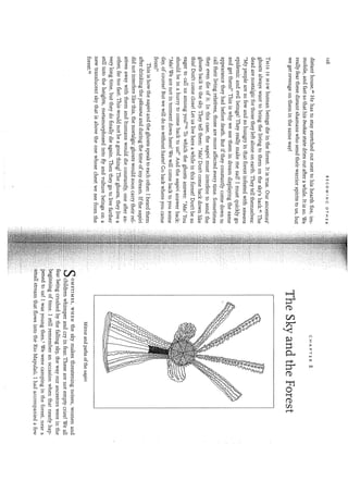 Kopenawa, davi;albert,bruce  the falling sky