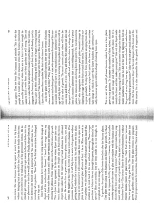 Kopenawa, davi;albert,bruce  the falling sky