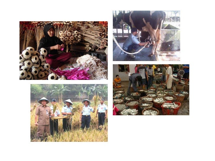 Koperasi in english