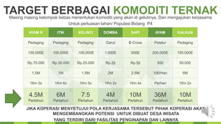 TARGET BERBAGAI KOMODITI TERNAKMasing masing kelompok bebas menentukan komoditi yang akan di gelutinya, Dan mengajukan kerjasama
Untuk perluasan lahan/ Populasi Bidang P4
AYAM K ITIK KELINCI DOMBA SAPI AYAM KALKUN
Pedaging Pedaging Pedaging Garut B Cross Petelur Pedaging
100.000E 100.000E .100.000E 1.000E 500E 200.000E 100.000E
Rp.75.000 Rp.30.000 Rp.25.000 Rp.2jt Rp.5jt 500 50.000
1,5M 1M 1,5M 2M 2,5M 100/Hari 5M
1thn 3x 1thn 6x 1thn 5x 1thn 2x 1thn 4x Perhari 1thn 2x
4.5M
Pertahun
6M
Pertahun
7.5
Pertahun
4M
Pertahun
10M
Pertahun
36M
Pertahun
10M
Pertahun
JIKA KOPERASI MENYETUJUI POLA KERJASAMA TERSEBUT PIHAK KOPERASI AKAN
MENGEMBANGKAN POTENSI UNTUK DIBUAT DESA WISATA
YANG TERDIRI DARI FASILITAS PENGINAPAN DAN LAINNYA
 