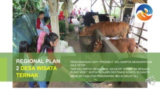 REGIONAL PLAN
2 DESA WISATA
TERNAK
PENGGEMUKAN SAPI TERSEBUT KELOEMPOK MENDAPATKAN
GAJI TETAP ,
TIAP KELOMPOK MENGURUS 100 EKOR TEMPAT INI MENJADI
PUSAT RISET SERTA MENJADI DESTINASI WISATA EDUKATIF
MEMILIKI FASILITAS PENGINAPAN, BALAI DIKLAT DLL
 