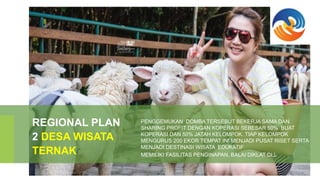 REGIONAL PLAN
2 DESA WISATA
TERNAK
PENGGEMUKAN DOMBA TERSEBUT BEKERJA SAMA DAN
SHARING PROFIT DENGAN KOPERASI SEBESAR 50% BUAT
KOPERASI DAN 50% JATAH KELOMPOK. TIAP KELOMPOK
MENGURUS 200 EKOR TEMPAT INI MENJADI PUSAT RISET SERTA
MENJADI DESTINASI WISATA EDUKATIF
MEMILIKI FASILITAS PENGINAPAN, BALAI DIKLAT DLL
 